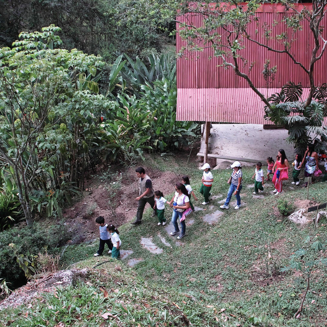 Corporación San Jorge - Ibagué - Guías Especializadas
