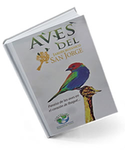 Aves-del-jardin-botanico