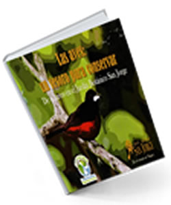 Las-aves-un-tesoro-para-conservar