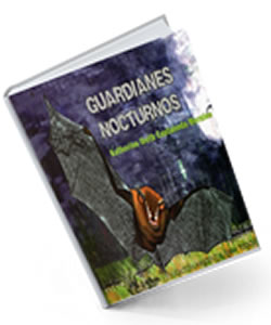 gruadianes-nocturnos