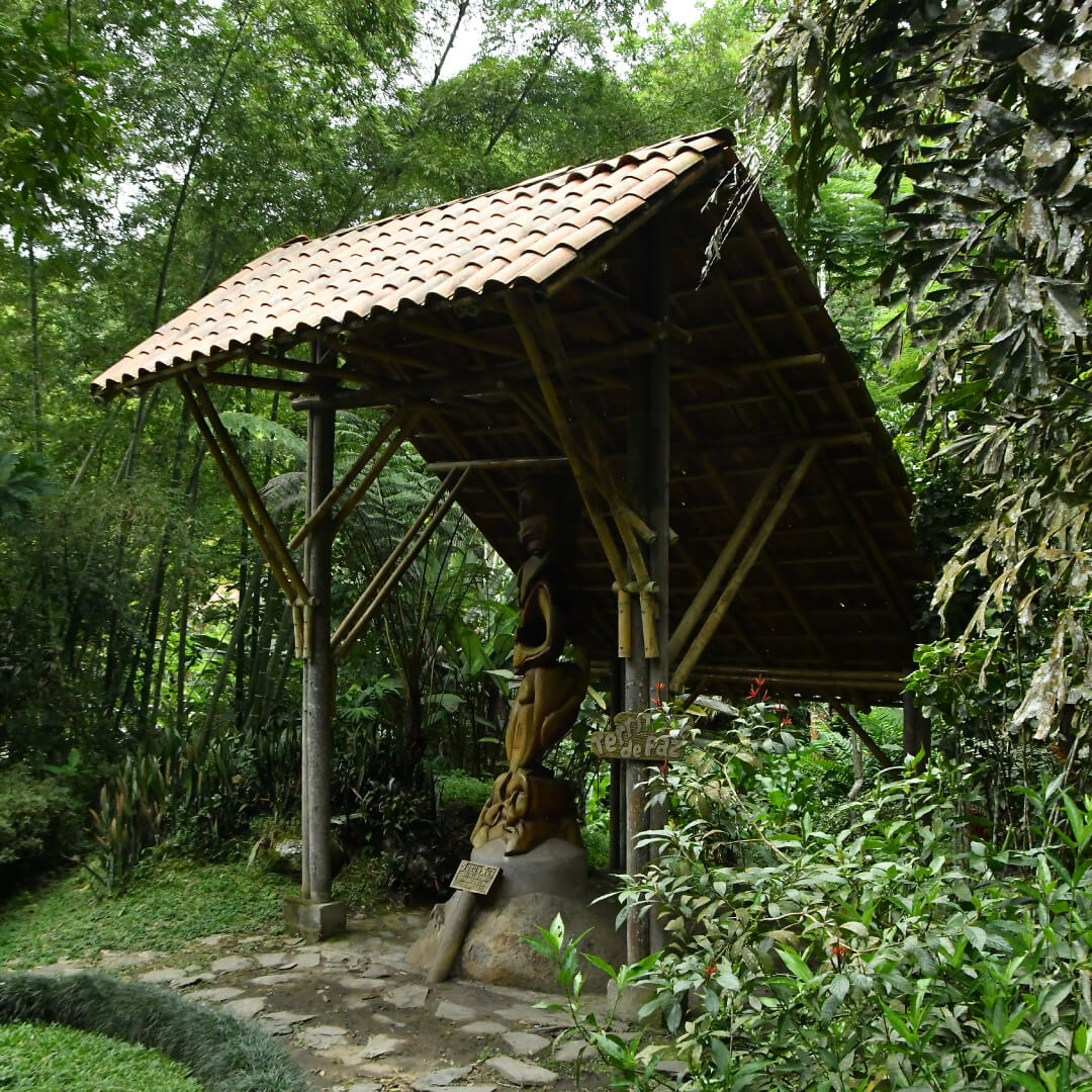 Jardín Botánico San Jorge - Ibagué - Semilla de Paz