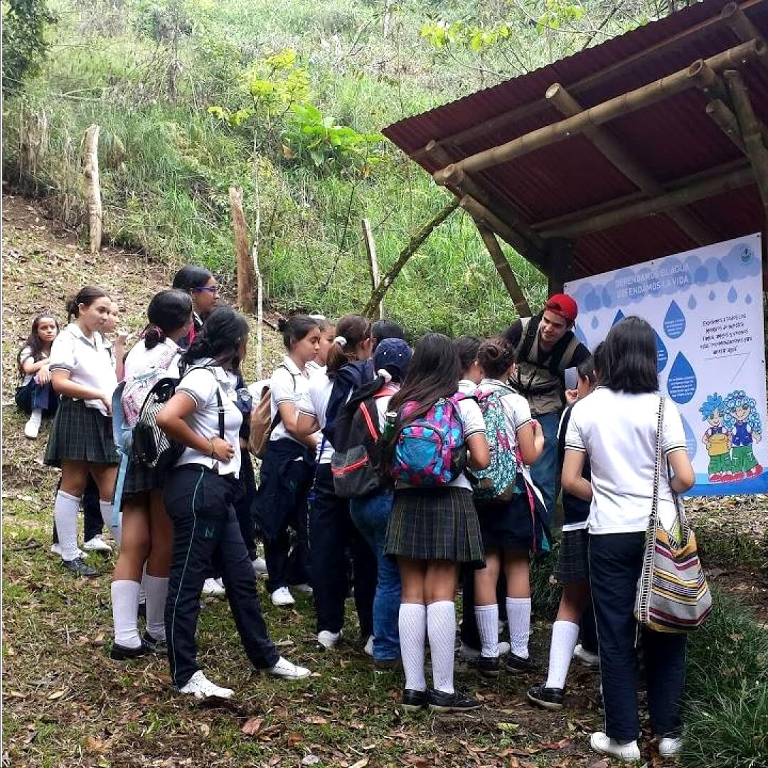 Corporación San Jorge - Ibagué - Aula Viva